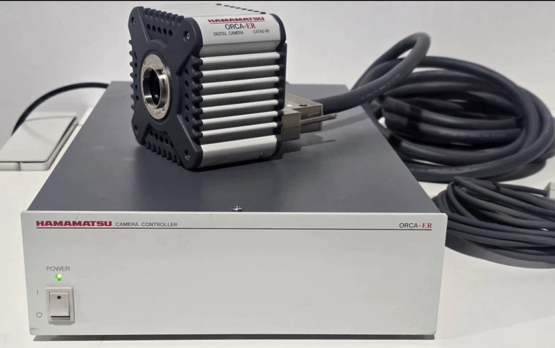 Hamamatsu Advanced CCD Camera ORCA-ER - Superior Clarity 1 Hamamatsu Advanced CCD Camera ORCA-ER - Superior Clarity