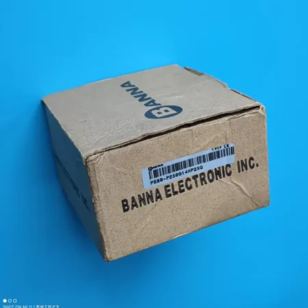 BANNA Pressure Switch PE80-P250G14HP2SQ - For Safe System Operation