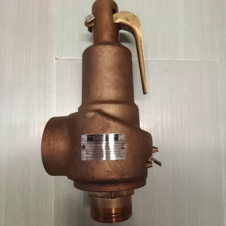 Consolidated 1543J-XMY1 Valve for Steam and Gas Applications