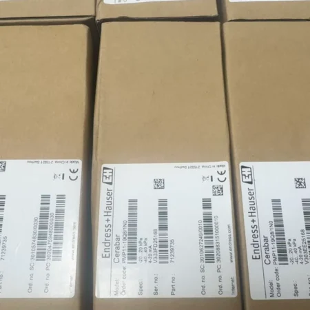 Process Pressure Measurement Endress+Hauser PMP11-19Q8/1N0