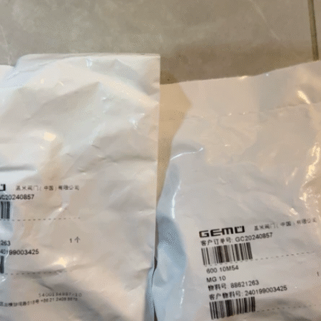 Process Valve Maintenance GEMÜ MG10 GC20240857 Diaphragm